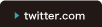 �c�C�b�^�[��